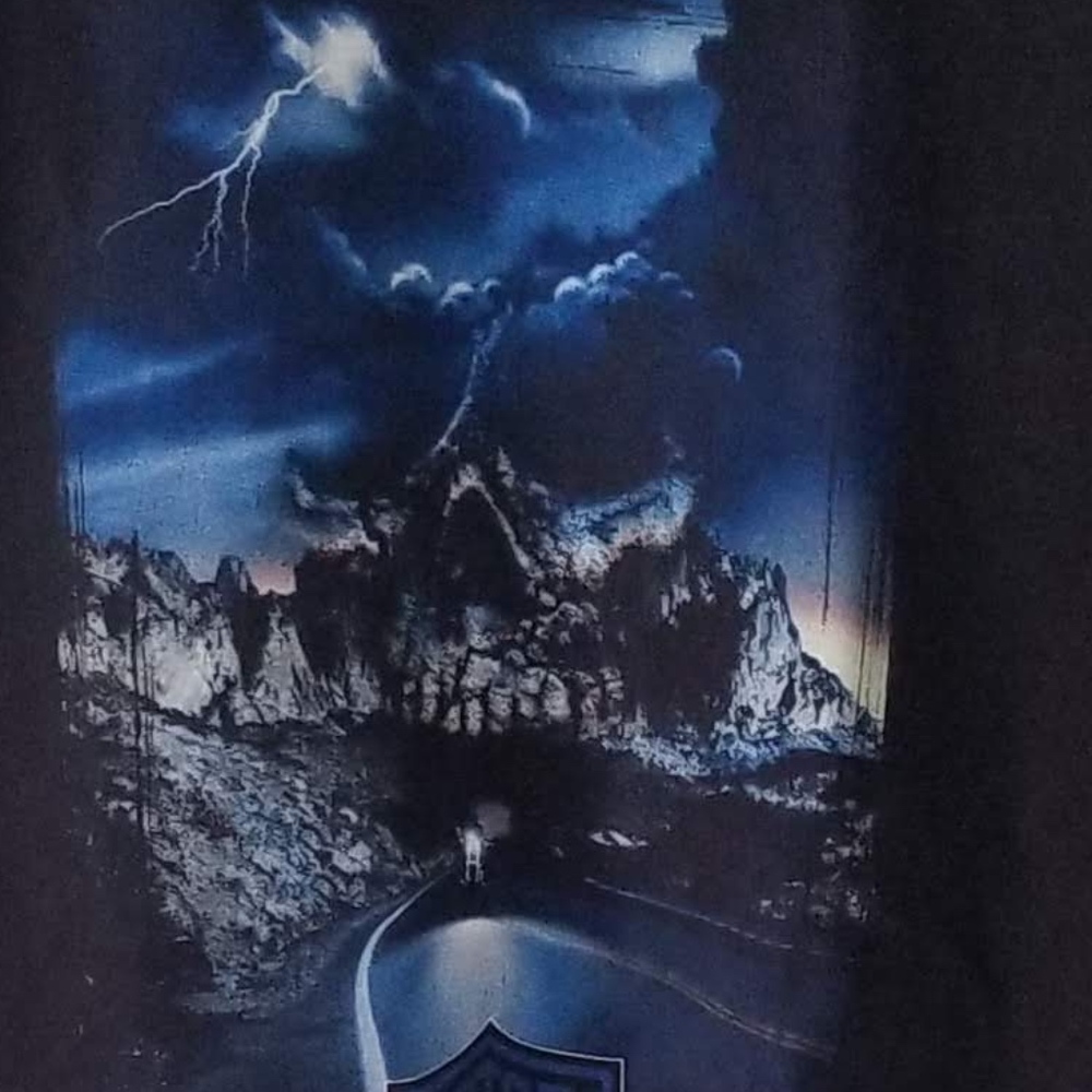 Harley Davidson San Diego 2005 T shirt